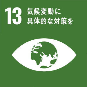 SDGs目標 13